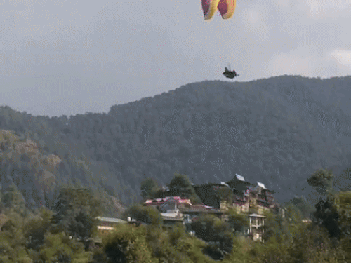 हिमाचलमध्ये फ्लाइंग फेस्टिव्हलच्या पहिल्या दिवशी अपघात:जमिनीवर पडून पायलट जखमी; पॅराग्लायडिंग करताना तोल गेला; 7 देश सहभागी
