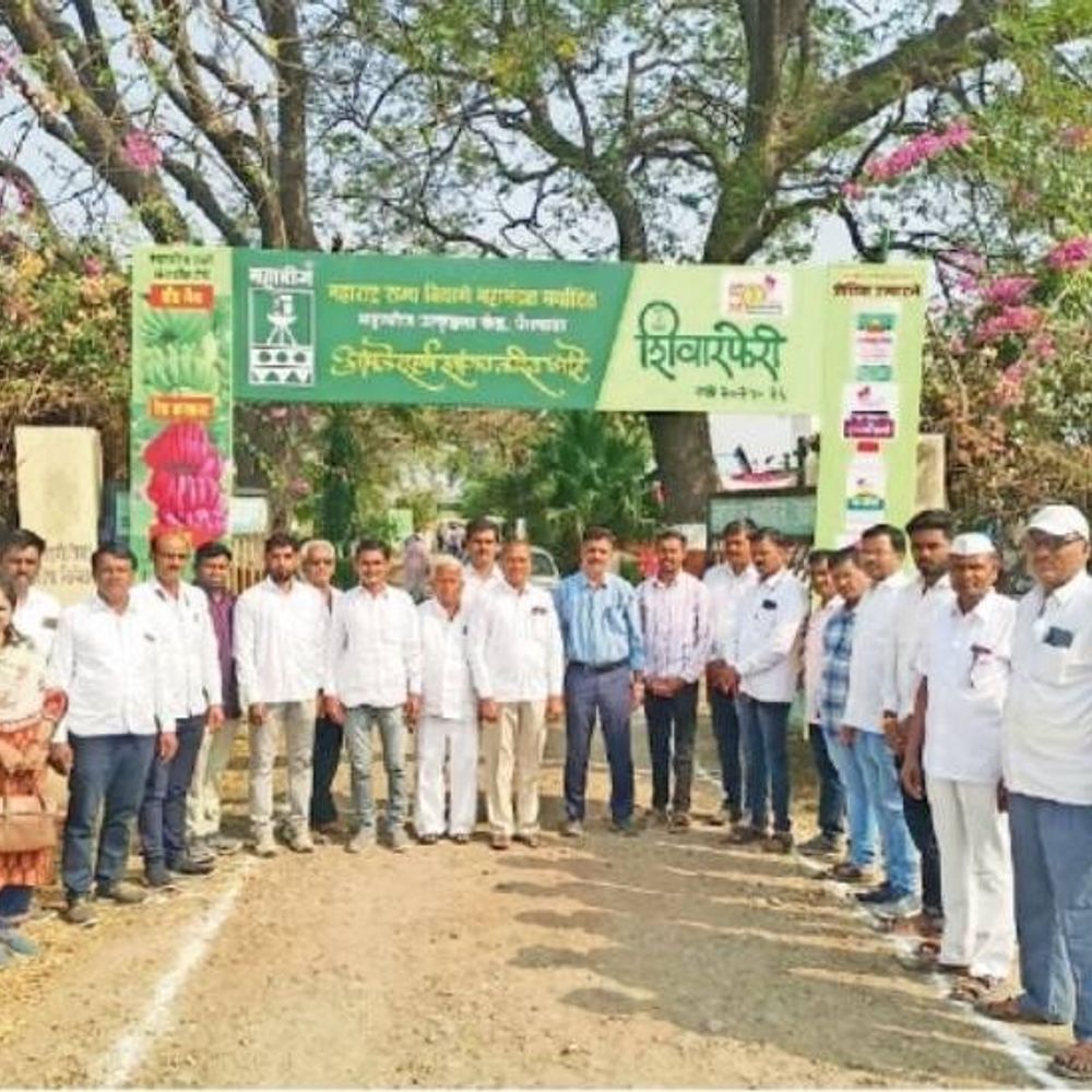 महाबीजच्या शिवार फेरीला शेतकऱ्यांचा उत्स्फूर्त प्रतिसाद‎:शिवारफेरीतून शेतकऱ्यांना मिळाली विविध रब्बी पीक व वाणांची प्रत्यक्ष माहिती