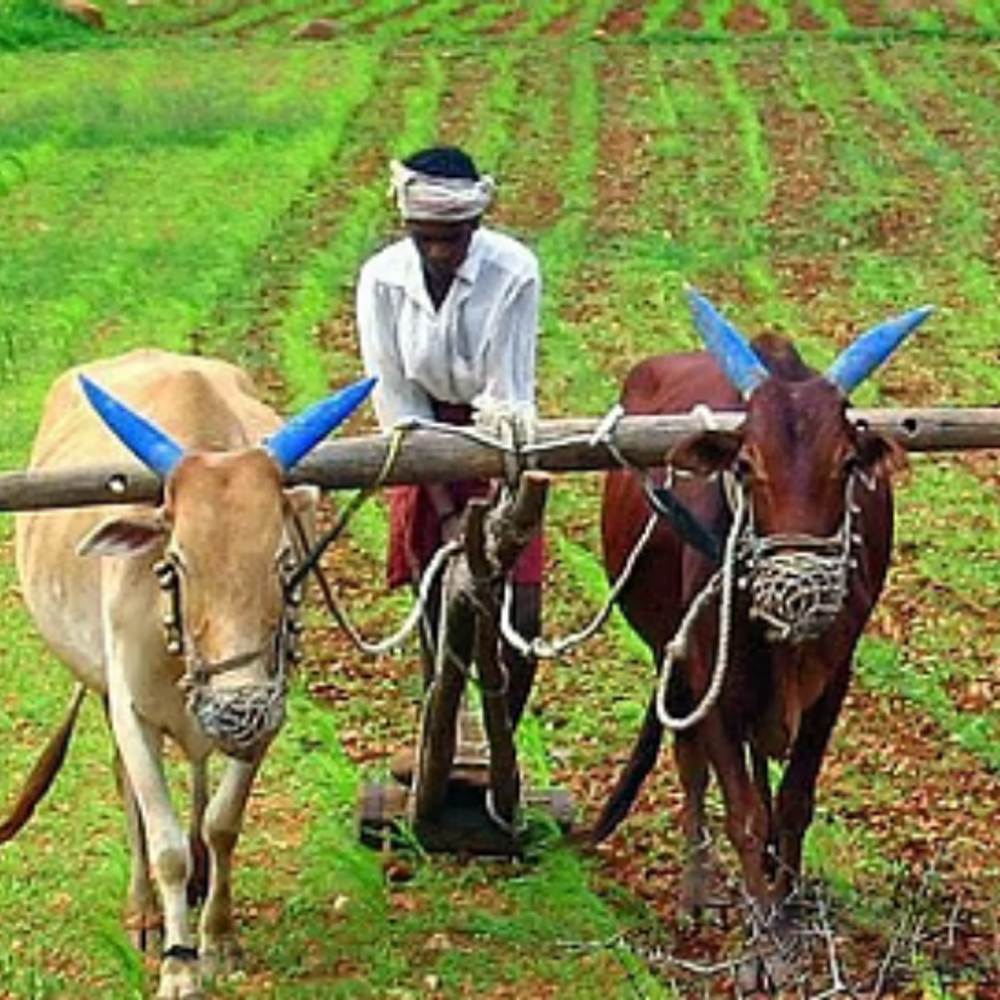 copy-of-db-temp-photo-resize-marathi-2026-05-16t14_1778921075.png