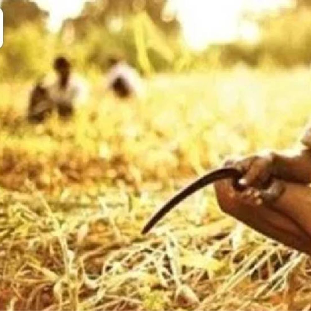 सरकारची दोन लाखांची कर्जमाफी कागदावरच?:1.54 लाखांच्या कर्जावर अवघी 94 हजारांची माफी, धाराशिवमध्ये शेतकरी संतप्त