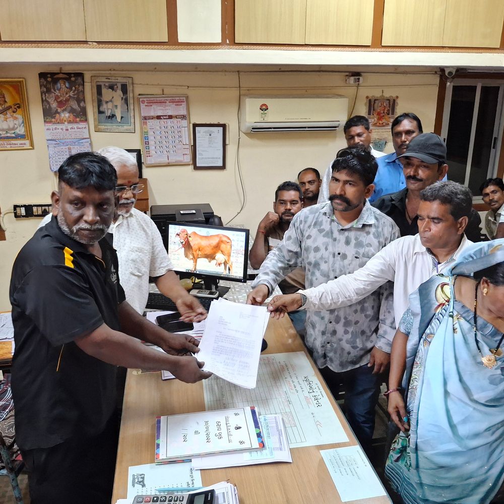 બેડવા દૂધ મંડળીમાં ભેળસેળવાળું દૂધ ભરનારા 10 પશુપાલકો સામે કાર્યવાહીની માંગ સાથે સભાસદોનો હોબાળો.