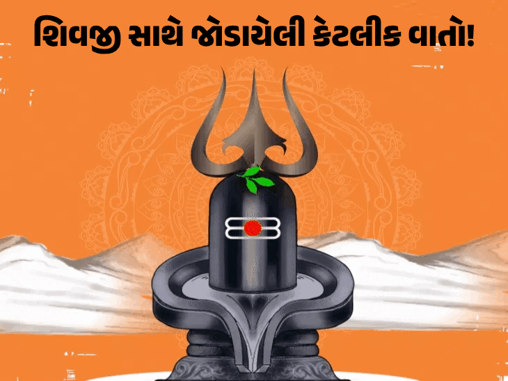 શ્રાવણમાં પૂજા સાથે નેગેટિવ વિચારો સામે ઉપવાસ સહિત 8 શુભ કાર્યો અને શિવપૂજામાં ભસ્મ, ધતૂરો અને આંકડાના ફૂલોનું મહત્વ.