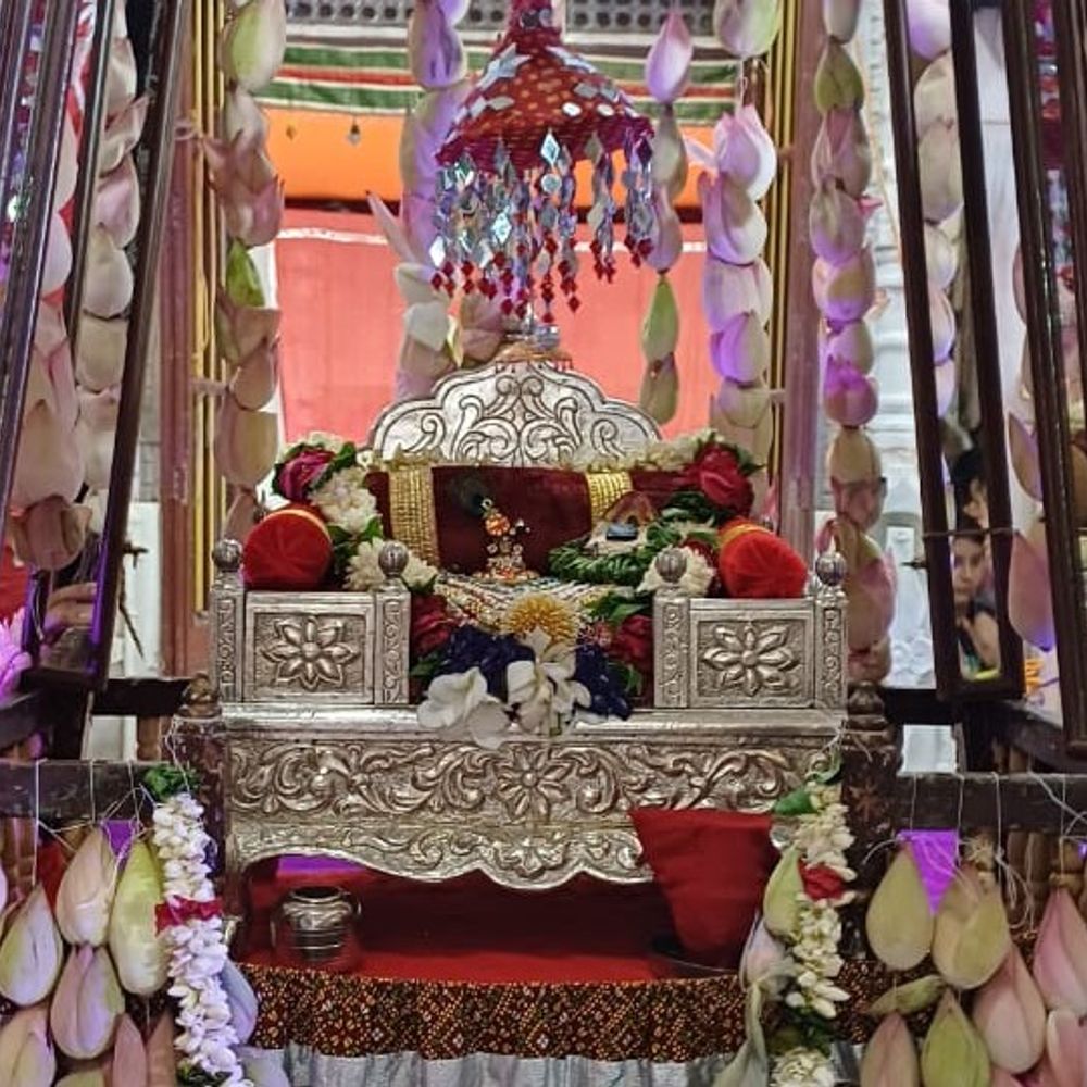 ભાગવત કૃષ્ણધામ મંદિરે હિંડોળા દર્શન: સોલા મંદિરમાં રસરાજ પ્રભુ કમળતલાઇમાં કાચના હિંડોળામાં બિરાજમાન કરાયા.