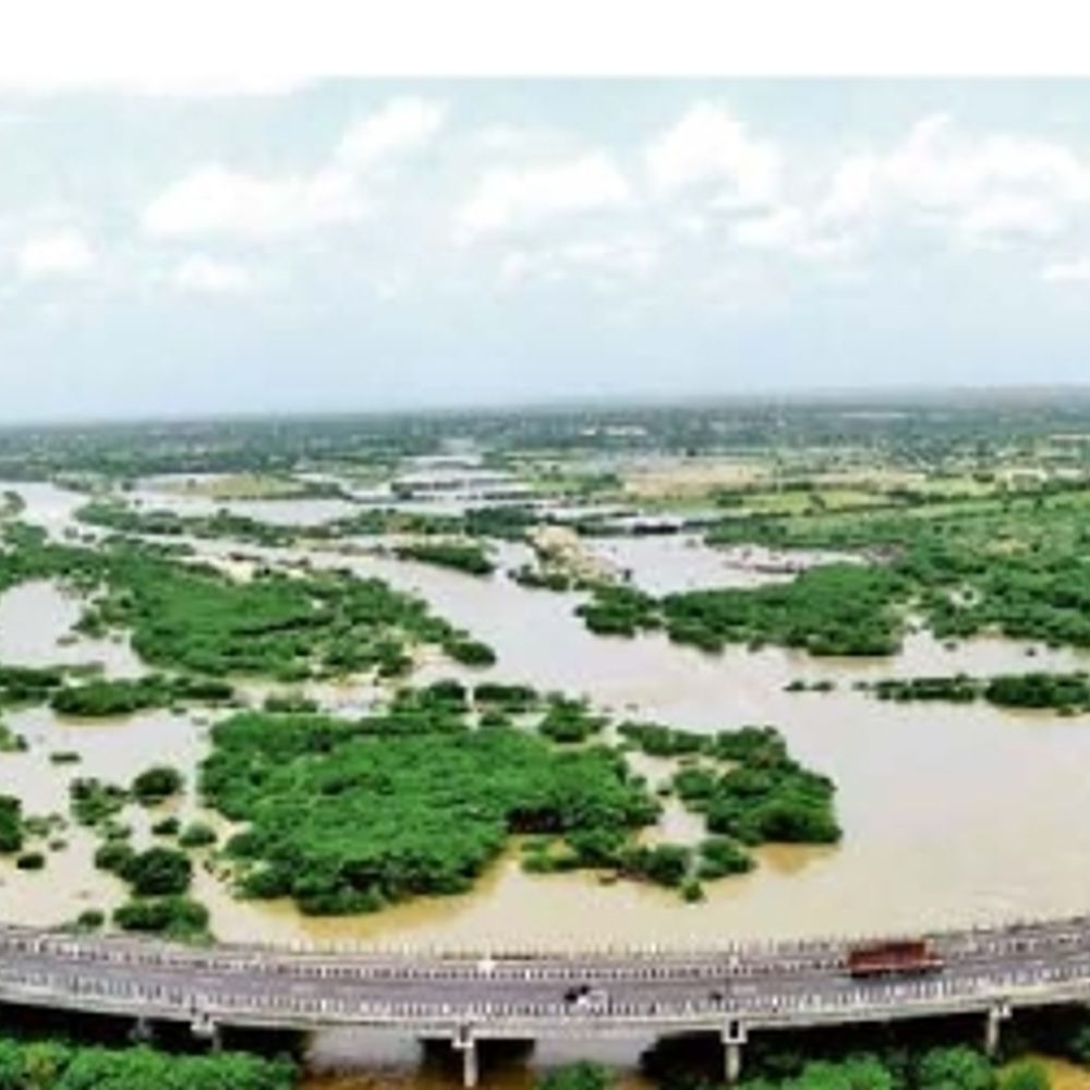 સતત ત્રીજા વર્ષે લુણી નદી બન્ને કાંઠે વહી: 2 કિમી પ્રતિ કલાકની ઝડપે કચ્છના રણ સુધી પાણી પહોંચ્યું.