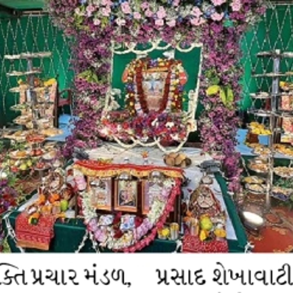 ટીડા ગેલા ઢાંઢણવાળી દાદીજીનો વાર્ષિક સિંધારા ઉત્સવ ઉજવાયો.