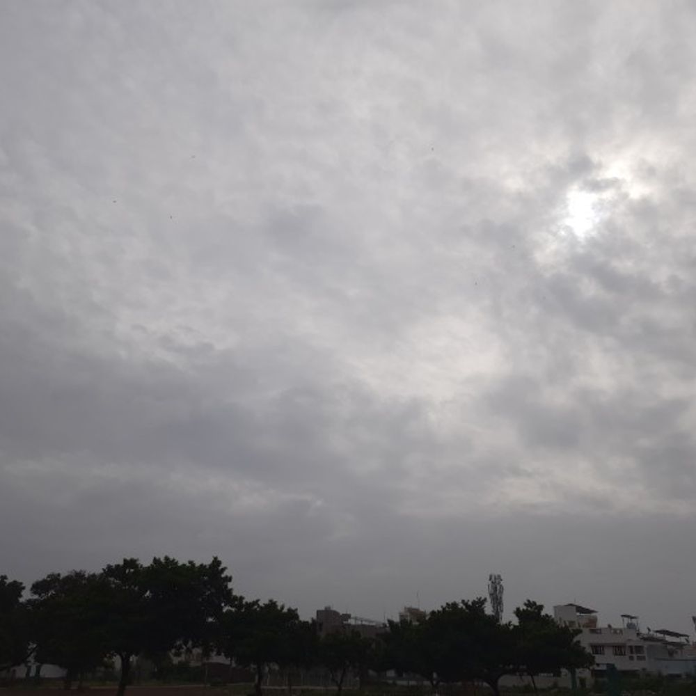 ભાવનગર વરસાદ અપડેટ: 6 તાલુકામાં ઝરમર, જેસરમાં 10 મિમી વરસાદ, 4 તાલુકા કોરા રહ્યા.
