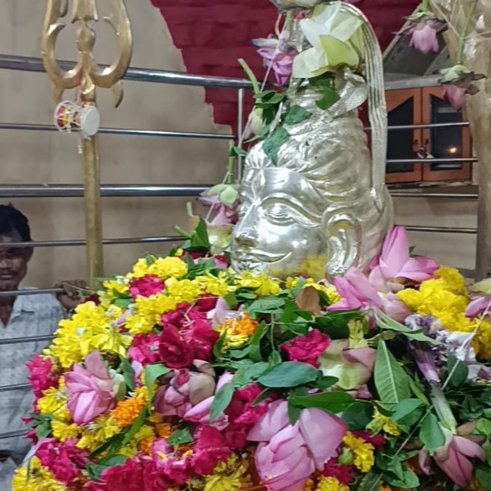 શહેરાના પાલીંખંડા ગામે 8 ફૂટનું સ્વયંભૂ શિવલિંગ: મરેડશ્વર મહાદેવ મંદિરમાં શ્રાવણ મહિમા અને ગંગાજળની અવિરત ધારા વહે છે.