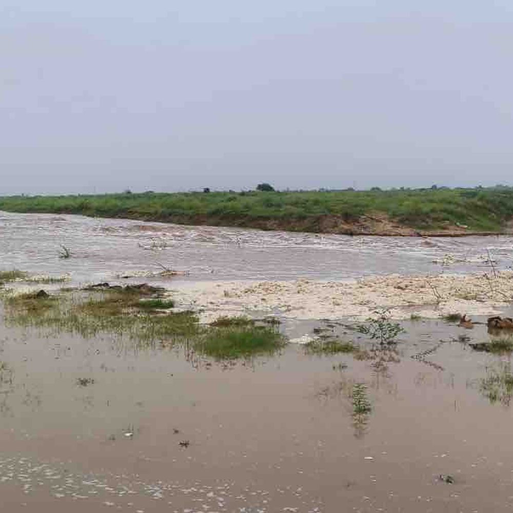 સરસ્વતી નદીમાં નવા નીર આવતા પાટણવાસીઓ ખુશ; ભારે વરસાદથી નદી જીવંત થઈ, અવરજવર પર પ્રતિબંધ.