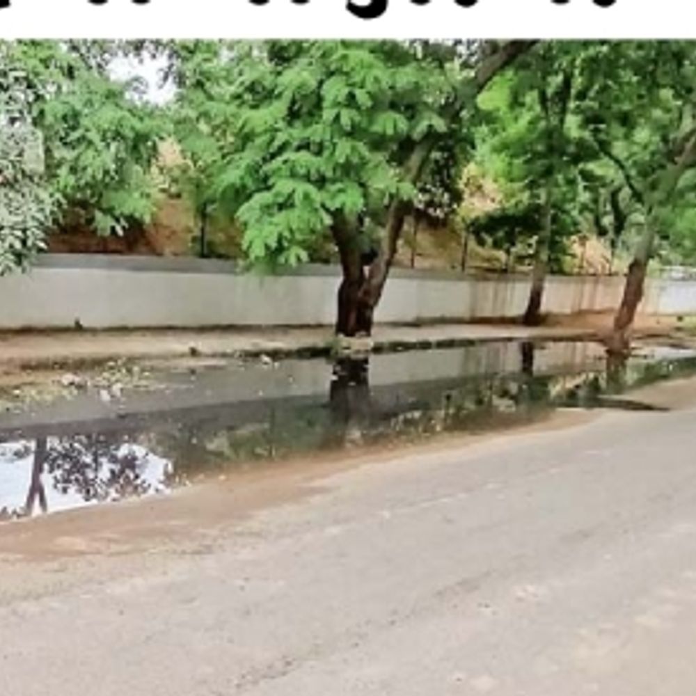 સેક્ટર-12માં ત્રણ અઠવાડિયાથી ગટરનાં પાણીથી લોકો ત્રાહિમામ, હાલાકી.