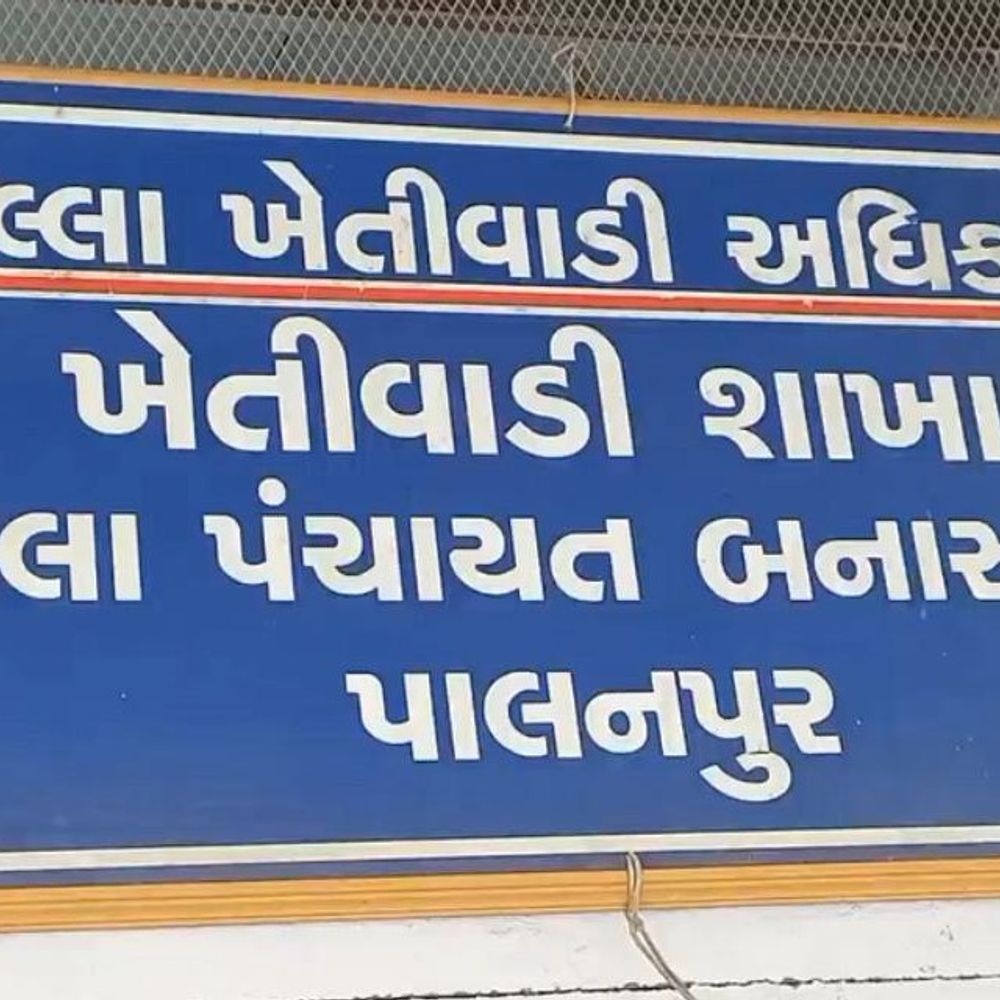 મગફળી પાકમાં રોગ વ્યવસ્થાપન માટે બનાસકાંઠા કૃષિ વિભાગની ખેડૂતોને માર્ગદર્શિકા: થડનો કોહવારો, ડોડવાનો સડો, સફેદ ફૂગ નિયંત્રણ અંગે સલાહ.
