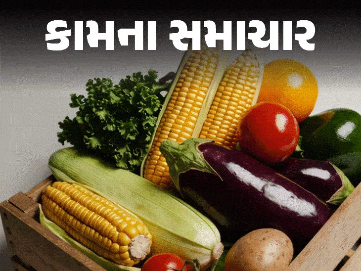 ચોમાસામાં આ વસ્તુઓ ખાશો તો બીમારીના ભરડામાં આવી જશો:જાણો ઊર્જાવાન રહેવા માટે શું કરવું, આ 4 પ્રકારના ફૂડ્સ તમને હેલ્ધી રાખશે