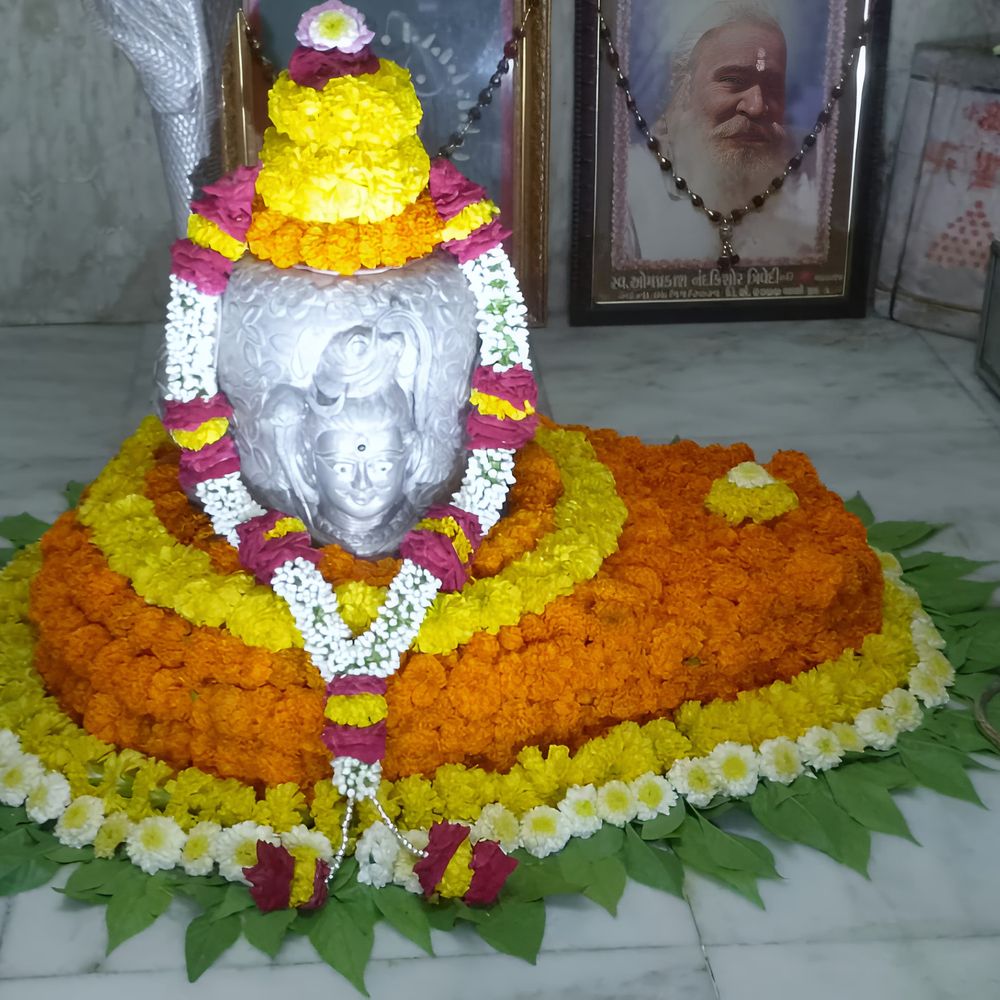 શિવભક્તોએ દર્શન કરી ધન્યતા અનુભવી: શ્રાવણના પ્રથમ સોમવારે શિવાલયો 'ઓમ નમ: શિવાય'ના નાદથી ગુંજી ઉઠ્યાં.