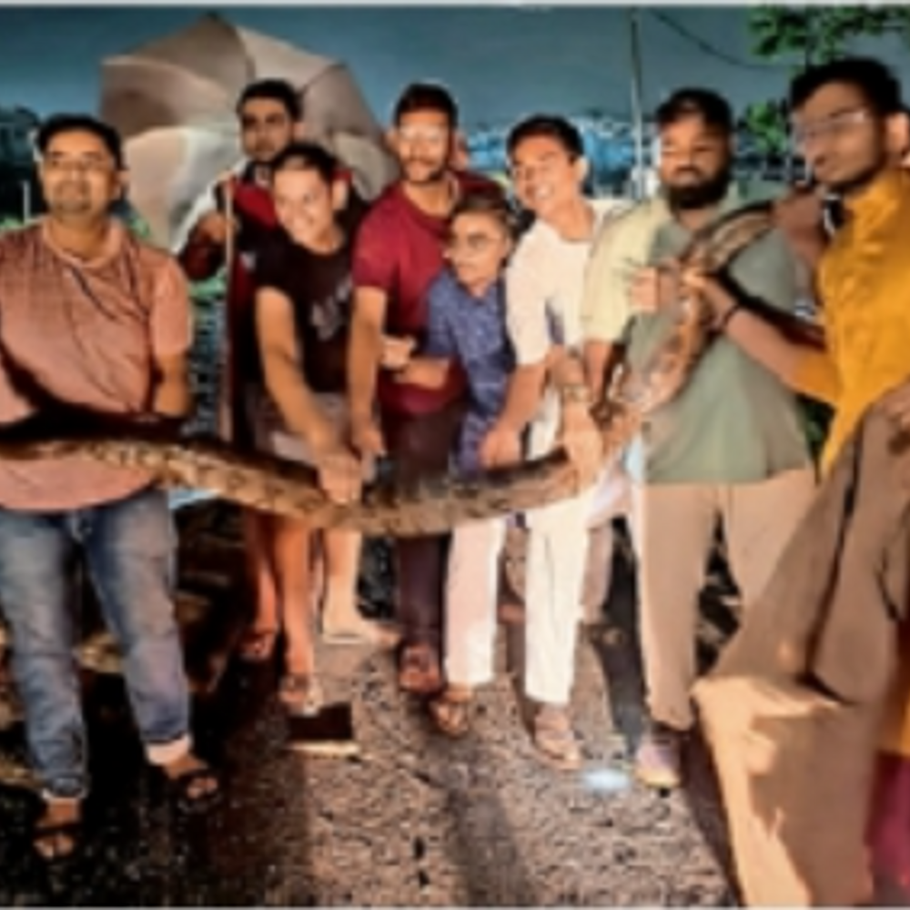 પારડી જીવદયા ગ્રુપ દ્વારા અજગર અને કોબ્રા સાપનું રેસ્ક્યૂ: રેસ્ક્યૂ કામગીરી.