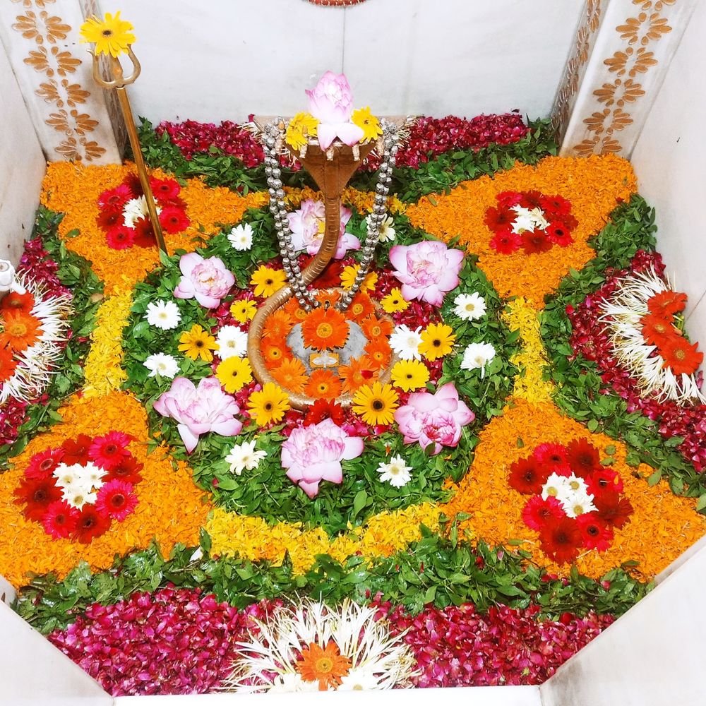 હિંમતનગરમાં વૈજનાથ મહાદેવ મંદિરમાં કમળ અને ડમરાની પાંદડીઓથી વિશેષ શણગાર.