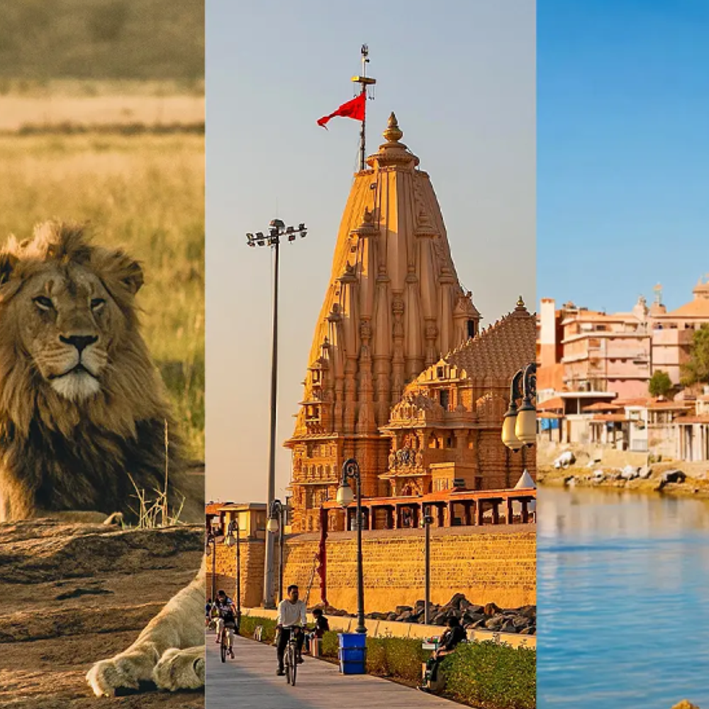 ગુજરાતમાં વિદેશી પર્યટકો ઘટ્યા: 2024માં 22.74 લાખ પર્યટકો, 5.32 લાખનો ઘટાડો.