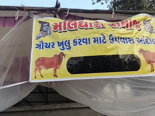 'મારી પાસે ટાઈમ નથી મને ટાઈમ મળશે ત્યારે આવીશ':ગોપાલ ઈટાલિયાએ માલધારી સમાજને કહ્યું, ભરવાડ સમાજનો સવાલ; 'શું ગોપાલભાઈ તમે માલધારીઓના વિરોધી છો?