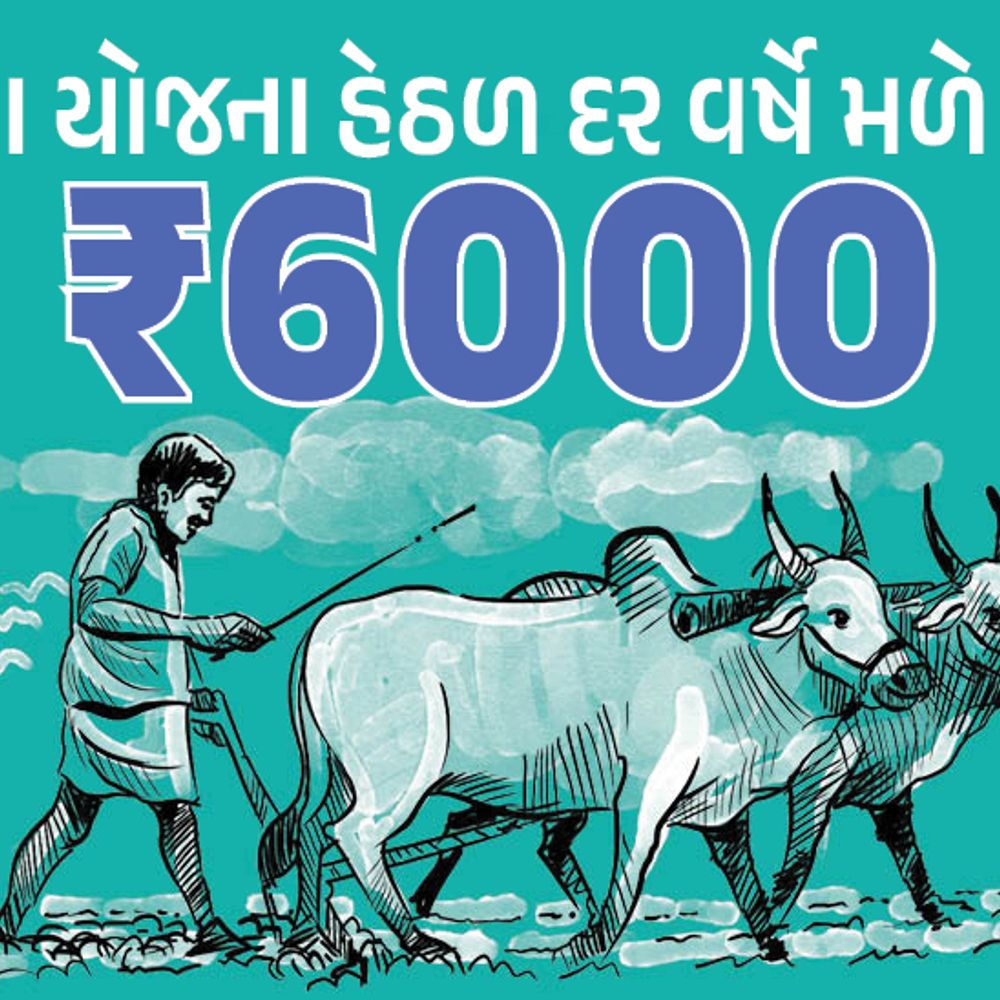 કિસાન સન્માન નિધિનો 20મો હપ્તો જાહેર: 9.7 કરોડ ખેડૂતોને ₹21 હજાર કરોડ ટ્રાન્સફર.