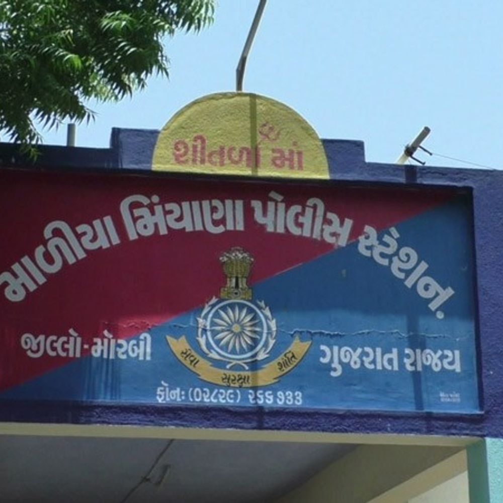માળીયામાં ખેડૂતને બોગસ BT કપાસના બિયારણથી ₹84 લાખનું નુકસાન, વિશ્વાસઘાતની ફરિયાદ.