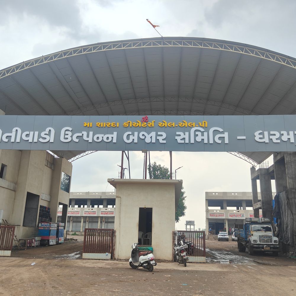 બામટી APMCમાં સોમવારથી શાકભાજીનું વેચાણ શરૂ: વેપારીઓ અને ખેડૂતો માટે લાભદાયક નિર્ણય.