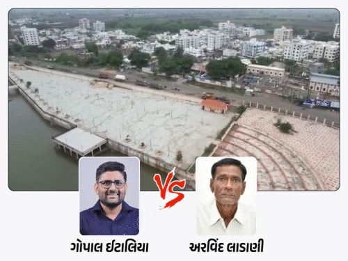 ઈટાલિયા સામે MLA લાડાણી અને પૂર્વ મંત્રી પર કૌભાંડના આક્ષેપ: માણાવદરની ચિંતા કરવાની જરૂર નથી, અમે અહીંયા જીવીએ છીએ.