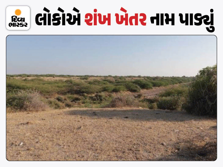 કચ્છમાં વિશ્વની સૌથી જૂની માનવ સભ્યતાના પુરાવા: 4 સંસ્થામાં રિસર્ચ; 9 હજાર વર્ષ પહેલાં શિકારી જૂથ વસતું.