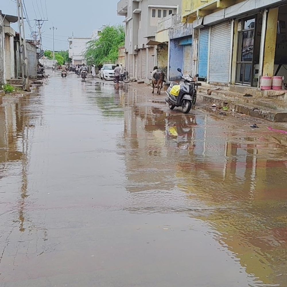 શ્રાવણના સોમવારે કચ્છમાં વરસાદ: રાપર અને ભચાઉમાં ઝરમર વરસાદથી ખેડૂતોને રાહત, માર્ગો પર પાણી વહ્યાં.