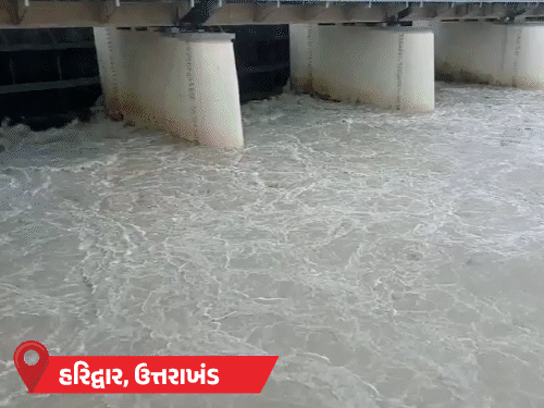 યુપીના 17 જિલ્લામાં પૂર, લખનઉ-અયોધ્યામાં સ્કૂલો બંધ:પ્રયાગરાજમાં રસ્તાઓ પર હોડીઓ દોડી; MPમાં અત્યાર સુધીમાં 275 લોકોના મોત