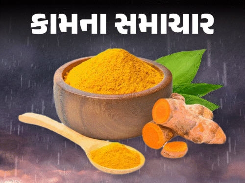 ચોમાસાની 8 સંજીવની જડીબુટ્ટી!:શરદી-ઉધરસ ભગાડશે, રોગપ્રતિકારક શક્તિ વધારશે; ડાયટિશિયન પાસેથી જાણો ફાયદા અને ખાવાની રીત