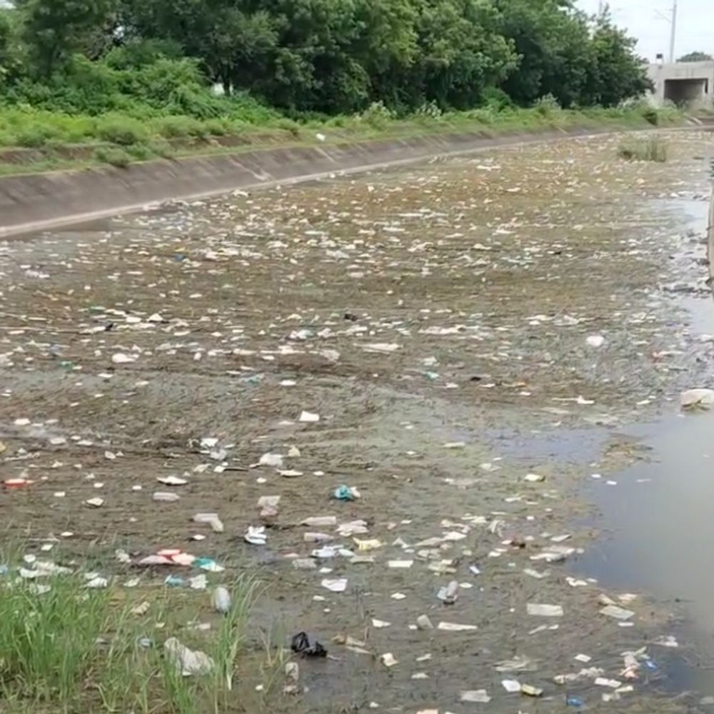 વડોદરા: શેરખી ગામમાં જર્જરિત બ્રિજ અને ગંદકીથી રોગચાળાનો ભય, ગ્રામજનોએ આંદોલનની ચીમકી ઉચ્ચારી.