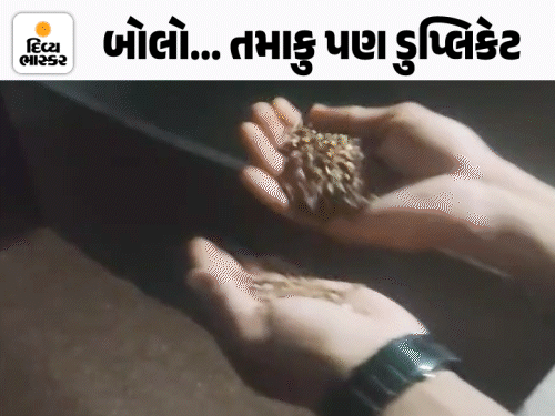 સુરતમાંથી ડુપ્લિકેટ તુલસી-રજનીગંધા તમાકુ-પાનમસાલાનું કારખાનું ઝડપાયું:રાત્રિના સમયે જ કારખાનું ધમધમતું, બ્રાન્ડેડ કંપની જેવી જ સ્મેલ આવે એ માટે એસન્સનો ઉપયોગ કરતા