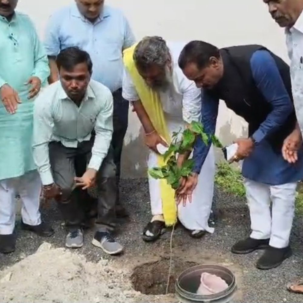 લીંબડીમાં સંગઠન પર્વ: ન્યૂ શ્રદ્ધા વિધાલય ખાતે સ્વનિર્ભર શાળા મંડળ દ્વારા 2100 વૃક્ષોનું વાવેતર.