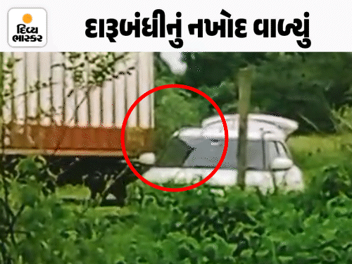 વડોદરા પોલીસે દારૂની 300 પેટી સેરવી લીધી, VIDEO:3 કારમાં બૂટલેગરને ભરી આપ્યો, હાલોલથી દારૂ પકડી ગુનો આસોજમાં નોંધ્યો