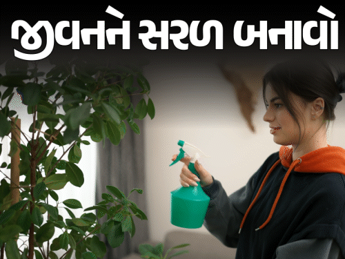નાનાકડાં જીવજંતુઓ માથાનો દુખાવો બની ગયા છે?:આ 11 રીતે સમસ્યાથી છુટકારો મેળવો, ઘરે બનાવેલા 6 નેચરલ સ્પ્રે પણ ફાયદાકારક સાબીત થશે