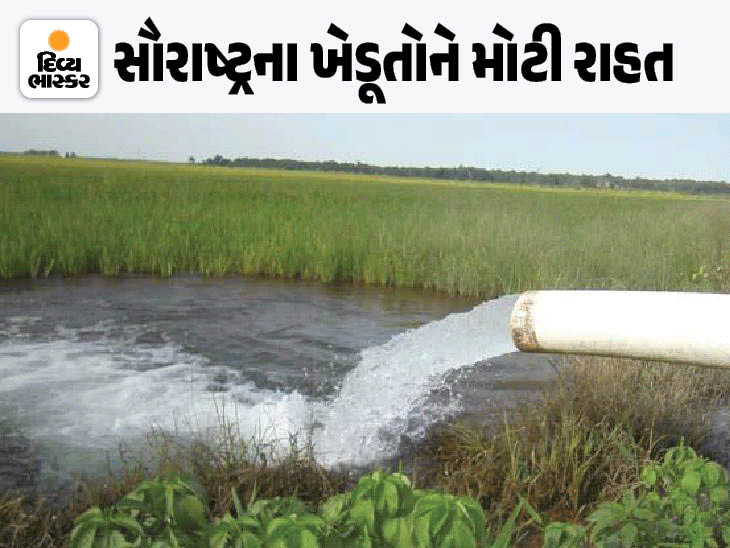 સૌરાષ્ટ્રમાં વરસાદ ખેંચાતા સૌની યોજનાથી પાણી અને ખેતી માટે 10 કલાક વીજળી અપાશે: રાજ્ય સરકારની જાહેરાત.