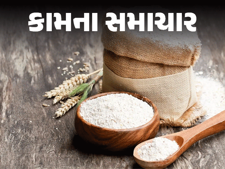 ચોમાસામાં ઘઉં અને લોટમાં ધનેરા પડી જાય છે?:આવો લોટ ખાવાથી ફૂડ પોઇઝનિંગ થઈ શકે છે; જાણો અનાજને સુરક્ષિત રાખવા માટેની 7 ટિપ્સ