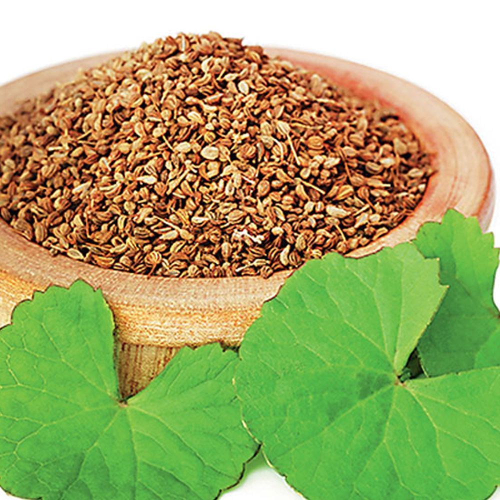 આરોગ્ય માટે અજમો: દરેક રોગમાં અસરકારક ઘરગથ્થુ ઉપચાર.