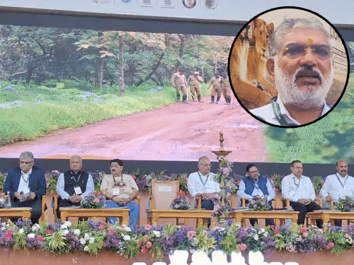 શું સિંહબાળના મોત માટે CDV જવાબદાર?: વનમંત્રીનો દાવો, વાઈરસ પર સ્પષ્ટતા ટાળી.
