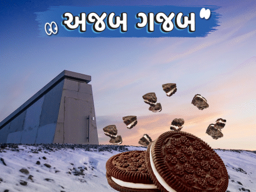 અજબ-ગજબ: Oreo બિસ્કિટનું સીક્રેટ બંકર, ઊંઘની શોધમાં યુવક અને બાળકોના ફોટોઝ પોસ્ટ કરવા પર જેલ.