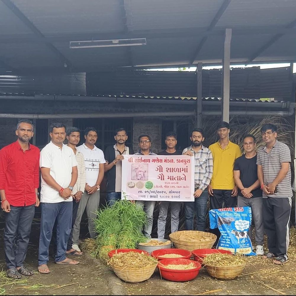 વ્યારાના સાંઈનાથ ગણેશ મંડળનો સામાજિક સેવા સાથેનો અનોખો ગણેશોત્સવ (Ganesh Utsav) (in 13 words).