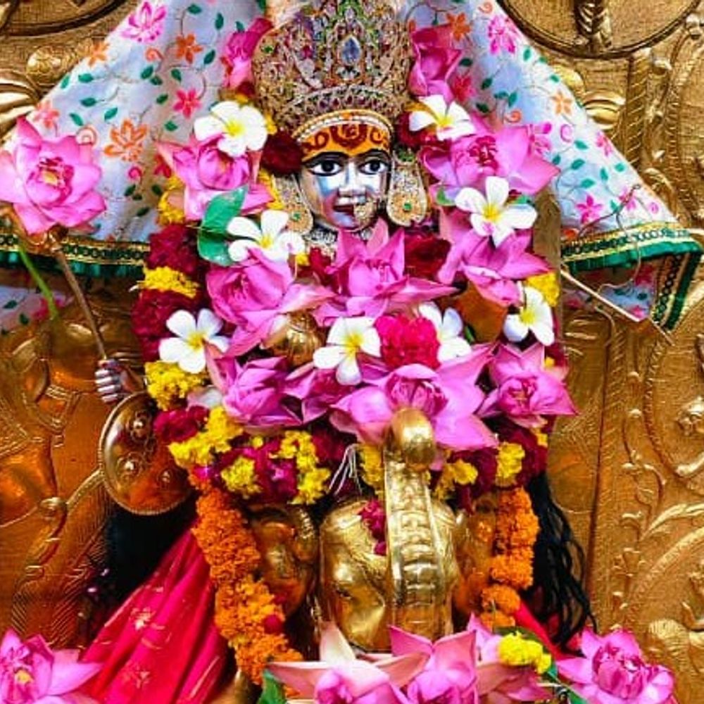 ખેડબ્રહ્મા અંબિકા મંદિરે 5.55 લાખ ભક્તોનાં દર્શન, 510 સંઘ અને 4900 ધજાઓ અર્પણ કરાઈ.