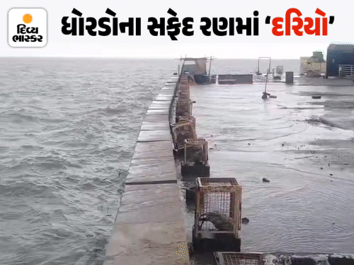 <> આગામી 2 કલાક સૌરાષ્ટ્ર-કચ્છ માટે ભારે, 6 જિલ્લામાં રેડએલર્ટ અને નખત્રાણામાં મંડપો તૂટી પડ્યા.