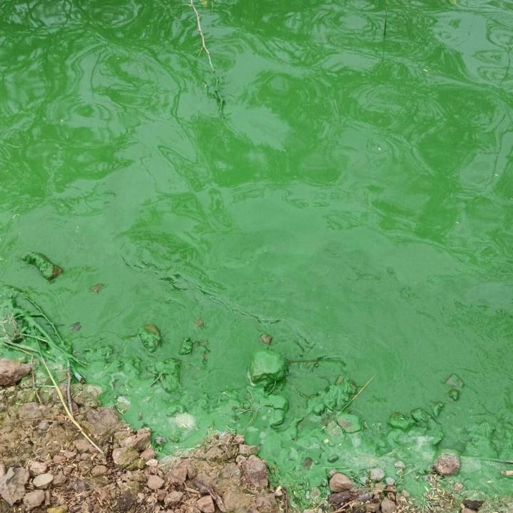 ચોટીલામાં પ્રદૂષણ ફેલાવતી VERNI ENVIRO CARE LIMITED સીલ, ભૂગર્ભ જળને નુકસાન.