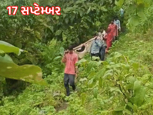 રોડ-રસ્તાના અભાવે ઝોળીમાં લટકતો વિકાસ: છોટાઉદેપુરમાં પ્રસૂતાને ઝોળીમાં ઊંચકી હોસ્પિટલ પહોંચાડી, પહેલાં એક સગર્ભાનું મોત.