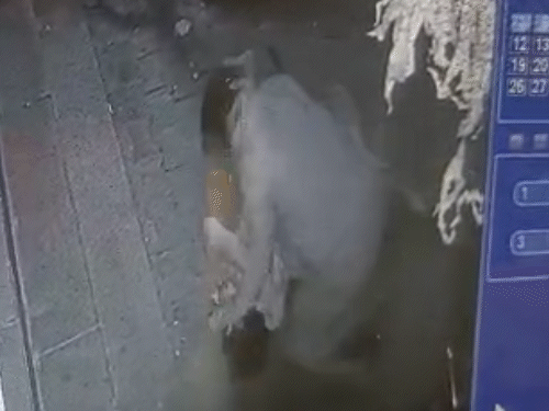 પત્ની પર છરીથી હુમલો: અમદાવાદમાં પતિએ 'તારા લીધે ભાઈ મર્યો' કહી હુમલો કર્યો, લોકોએ છોડાવ્યો. CCTV ફૂટેજ સામે આવ્યા.