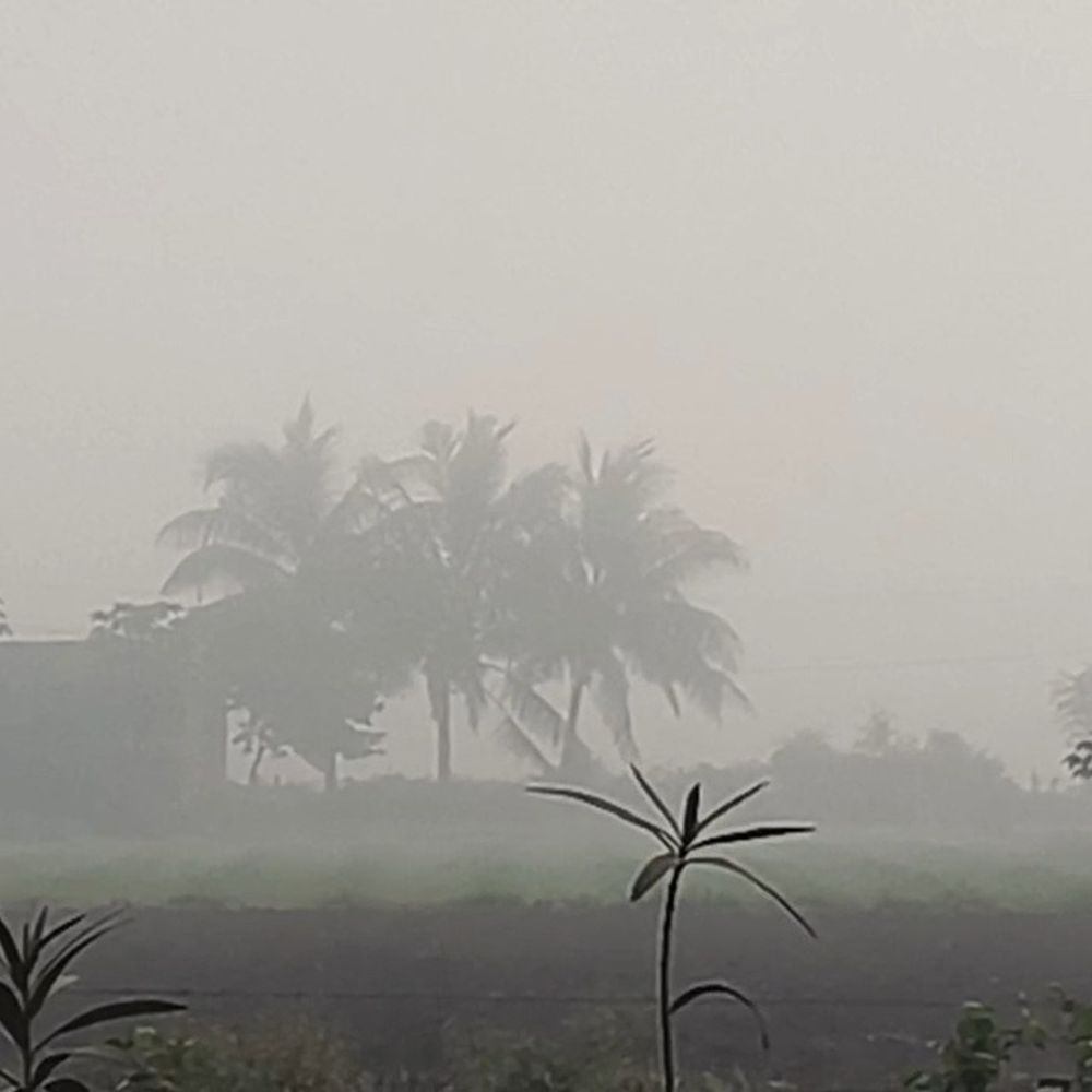 જામનગરમાં ઝાકળભીની સવાર, ગાઢ ધુમ્મસ છવાયું: લોકોએ વાતાવરણનો આનંદ માણ્યો, દિવસે ગરમી અને રાત્રે ઠંડકનો અનુભવ.