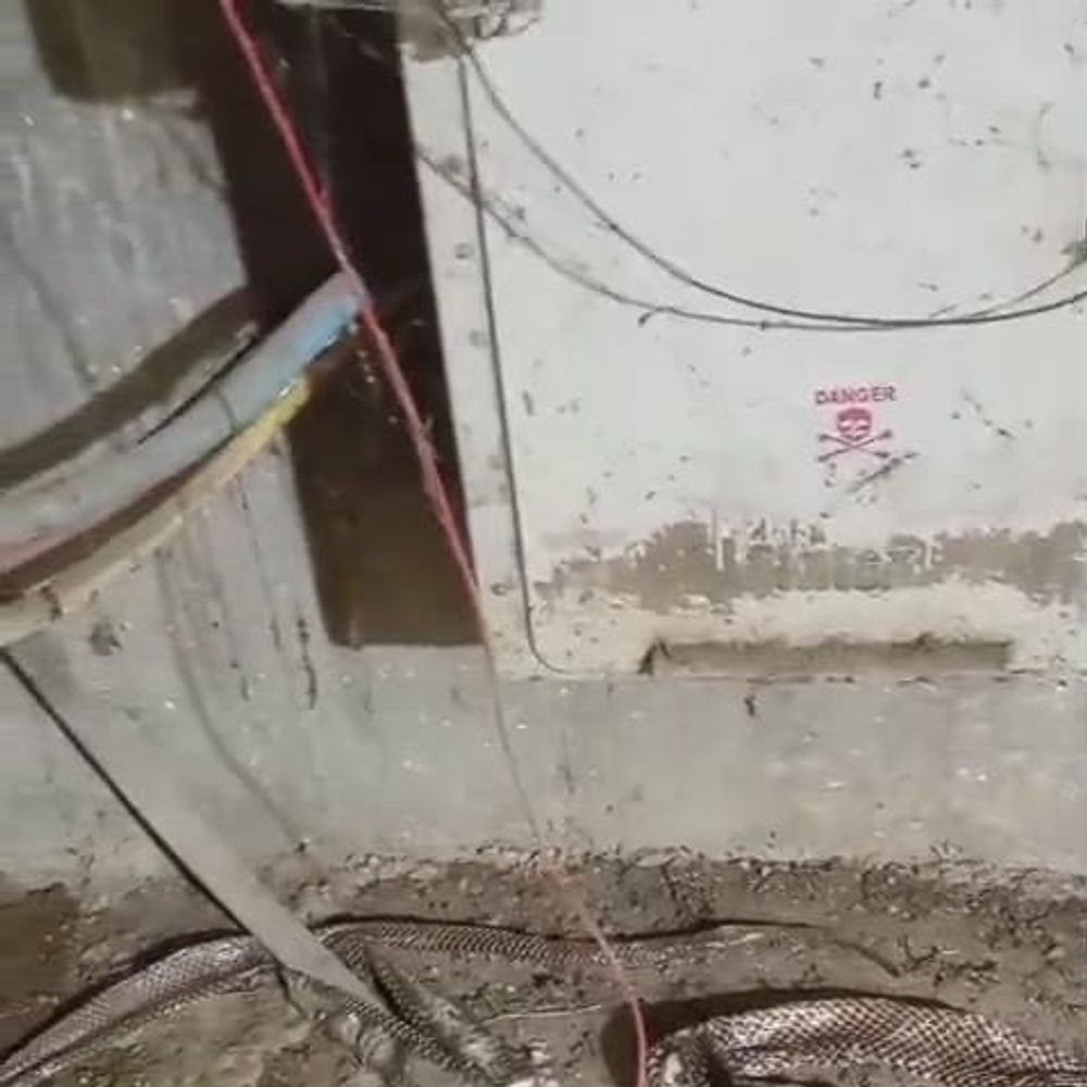 મહેસાણાના રાધનપુર રોડ પર સૌરભ સોસાયટી પાસે 11 ફૂટનો સાપ દેખાતાં ભય.