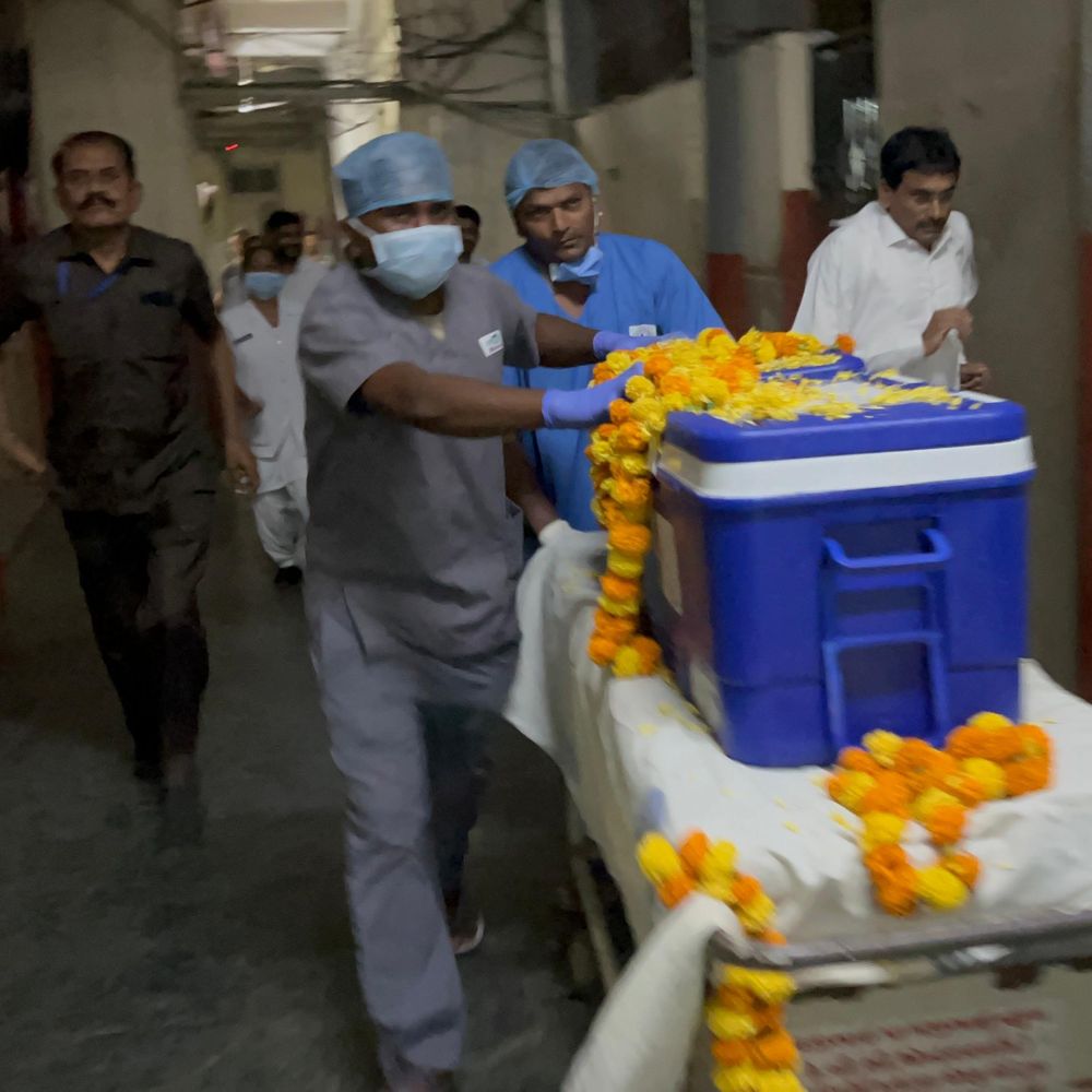 જામનગર: બ્રેઈનડેડ યુવાનના અંગોનું દાન, અમદાવાદ વિમાન માર્ગે મોકલાયા, G.G. હોસ્પિટલથી એરપોર્ટ સુધી ખાસ કોરિડોર.