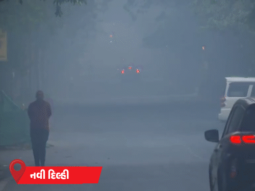 MPમાં કોલ્ડવેવ, હિમાચલમાં તાપમાન માઈનસમાં, ઝારખંડમાં શીતલહેરની આગાહી: ઠંડીનું મોજુ ફરી વળ્યું.