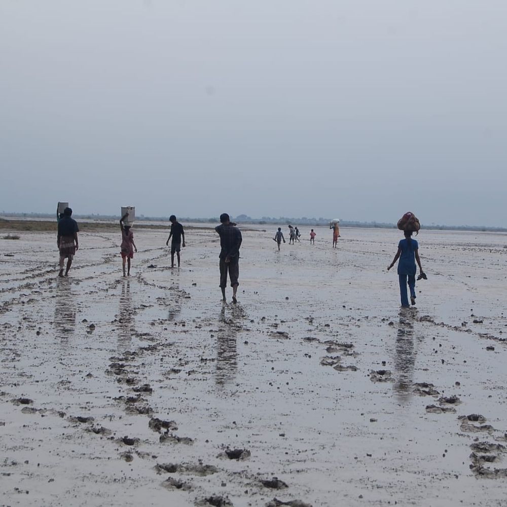 કચ્છના રણમાં વરસાદથી રસ્તા બંધ થતાં 3500 અગરિયા પરિવારોનું એન્યુમેરેશન ફોર્મ ભરવાનું અટક્યું.