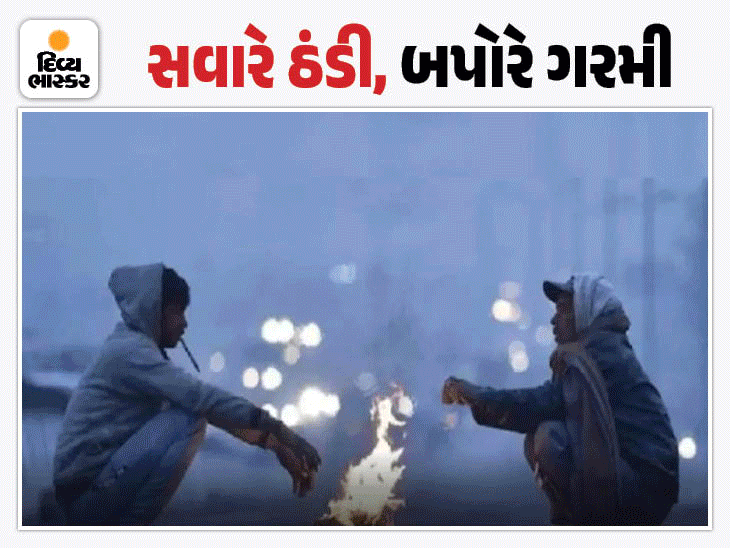 અમરેલીમાં સીઝનની સૌથી ઠંડી રાત: 13 ડિગ્રી તાપમાન, નલિયા-ગાંધીનગરથી વધુ ઠંડુ. રાજ્યમાં ઠંડીનો પારો 20 ડિગ્રી નીચે.